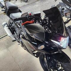 gsx250r  abs etc付き　必ず本文確認をお願いします...