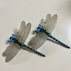 虫除け：オニヤンマ　フィギュア2匹