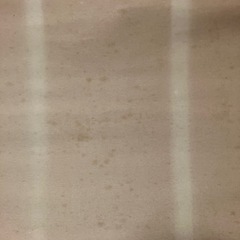 富士の画像