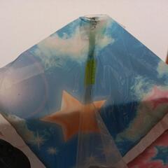 ミッキー＆ミニー　凧揚げの画像