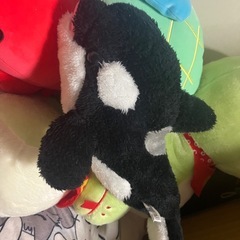 シャチ ぬいぐるみ 【鴨川シーワールド】