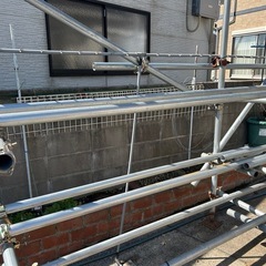 メダカ　トロ舟　60リットル　黒10個の画像