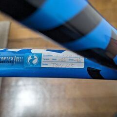 ピュアドライブ107 G2　BABOLATの画像