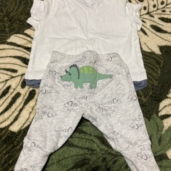 値下げしました　恐竜柄レギンスとTシャツセットの画像