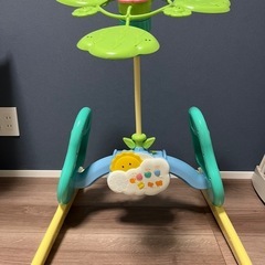 プーメリーの画像