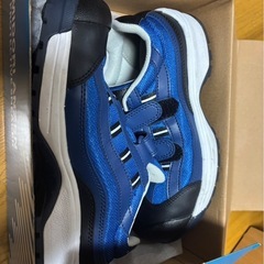 安全靴24cmの画像