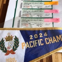 2025オープン戦　最終値引！！4800円→4600円3/13ソ...