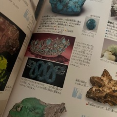 美品　岩石・鉱物・化石　図鑑の画像