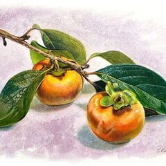 🎨木土開催5/17,6/7,19 江坂【絵画教室】体験1000円【初心者～中級者向け】の画像
