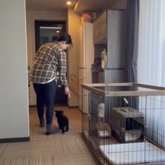 犬　ケージ　ペット　ゲージ
の画像
