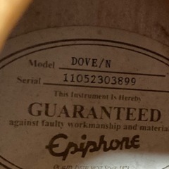 エピフォン　Dove アコギの画像