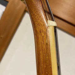 セミアコ　blink 182 の画像