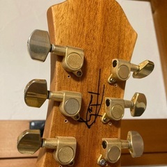 セミアコ　blink 182 の画像