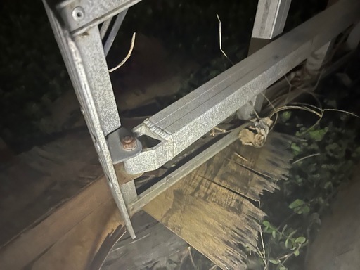 剪定はしご　10尺