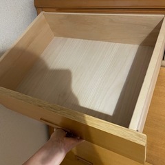 たんすぅの画像