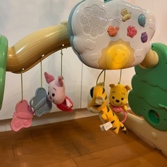 プーメリー、ジム　の画像