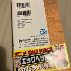 ONEPIECE110巻の画像
