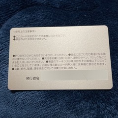 ウォッシュアイランド館山　洗車プリペイドカードの画像