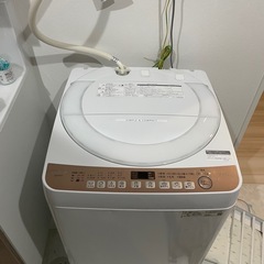 SHARP洗濯機7kg！急募！2/20まで