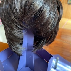 ウィッグ
の画像