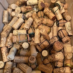 ワイン、シャンパンコルク🍇100個の画像