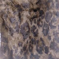 ヒステリックグラマー　レオパード　パーカー　ヒョウ柄の画像