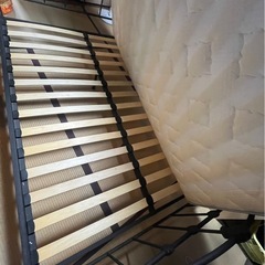 ダブルベット
の画像