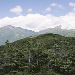 運動不足な方、山歩きしませんか？ - メンバー募集