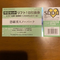 恐羅漢スノーパーク　リフト券