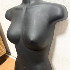 ハーフトルソー　マネキン　ブラックの画像