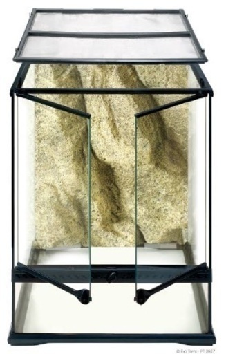 グラステラリウム4560