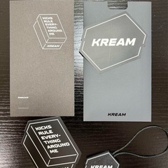 ノースフェイスヌプシダウンペイズリー柄Mサイズの画像