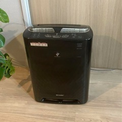 SHARP 加湿空気清浄機  KC-Z45-B