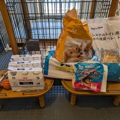 キャリー ゲージ ペットグッズ ペットアイテム 犬 リッチェル の画像