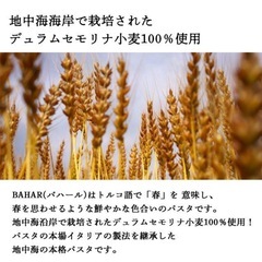 スパゲッティ 500g ４袋 1.55mm バハール ★追加1袋150円の画像