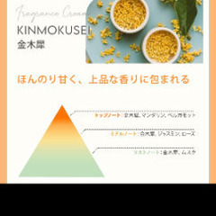 問い合わせ３名💖無添加🥰日本製【残量たっぷり箱詰め】季節はずれのキンモクセイの香り本物🌟30ml🌟無添加🌟日本製🌟キンモクセイ本物の匂い🌟金木犀の香水🌟なかなか売っていません🌟本物そっくりな香り🌟他にもたくさん出品しています🤗💕の画像