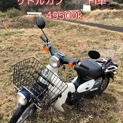 リトルカブ50 セル付