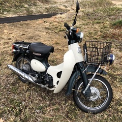 リトルカブ50 セル付の画像