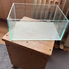 ガラス水槽