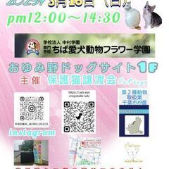 里親希望者様と保護猫ちゃんのお見合い会のお知らせです。