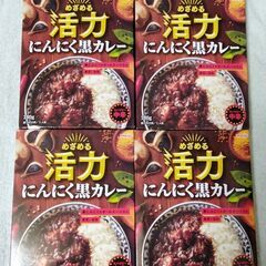 明治 めざめる活力にんにく黒カレー 4個セット：賞味期限2025...