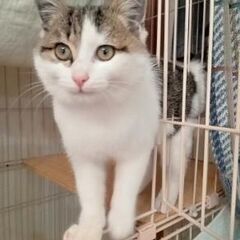 甘えん坊の小梅ちゃん