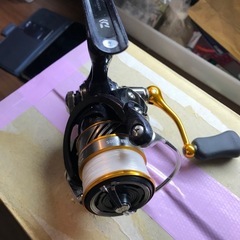 ダイワ　レブロスLT 1000S