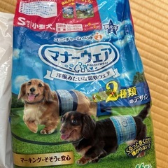 🎶ペット用オムツ&シート🎶の画像
