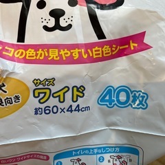 🎶ペット用オムツ&シート🎶の画像