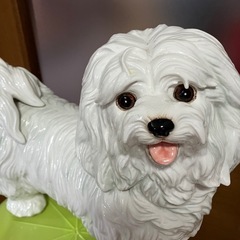 陶器の犬🐕の画像