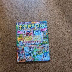 ポケモン　本
