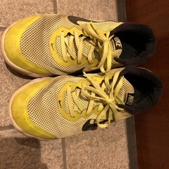 NIKE ランニングシューズの画像