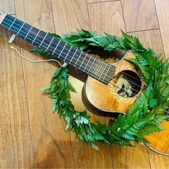 ウクレレ弾き語り　阪急西宮北口すぐ　体験してみてね🎵の画像