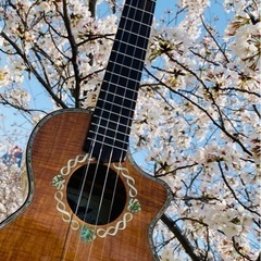ウクレレ弾き語り　阪急西宮北口すぐ　体験してみてね🎵の画像